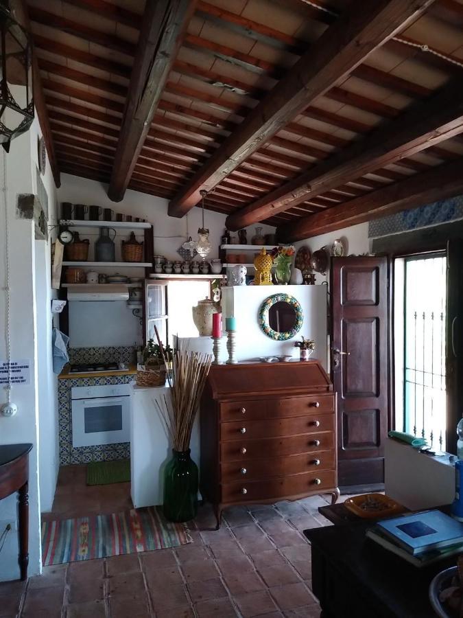 Il Corbezzolo Suite Appartament 卡斯泰卢佐 外观 照片